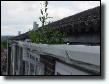 Gutter Clearing Lancashire